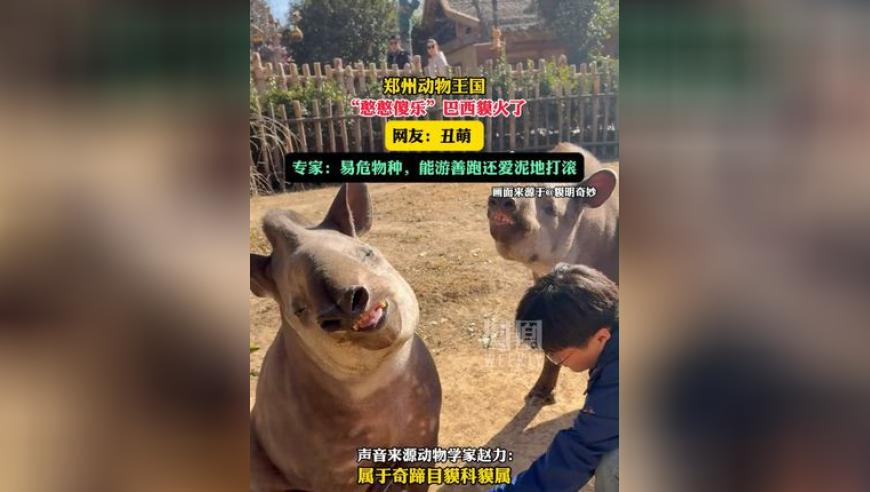 香香六给彩开奖结果 最快,侄子办丧事花光老人23万遗产,整体规划执行讲解_精英版V11.99