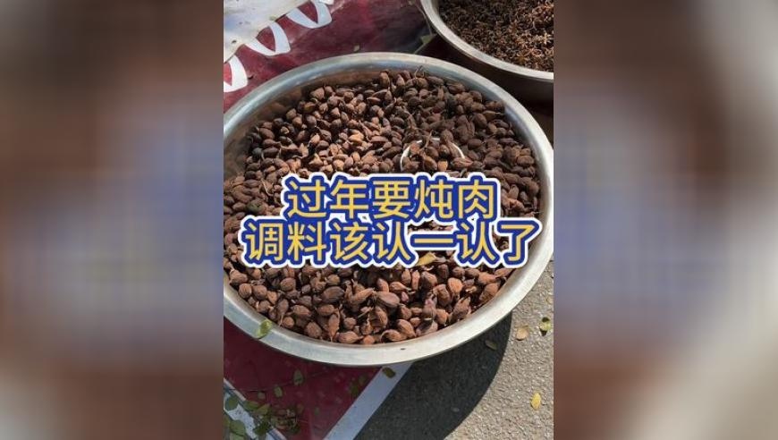 澳门天天彩资料免费查询,哪吒2进全球票房榜前50,机构预测与落实方法揭秘_轻量版V1.50