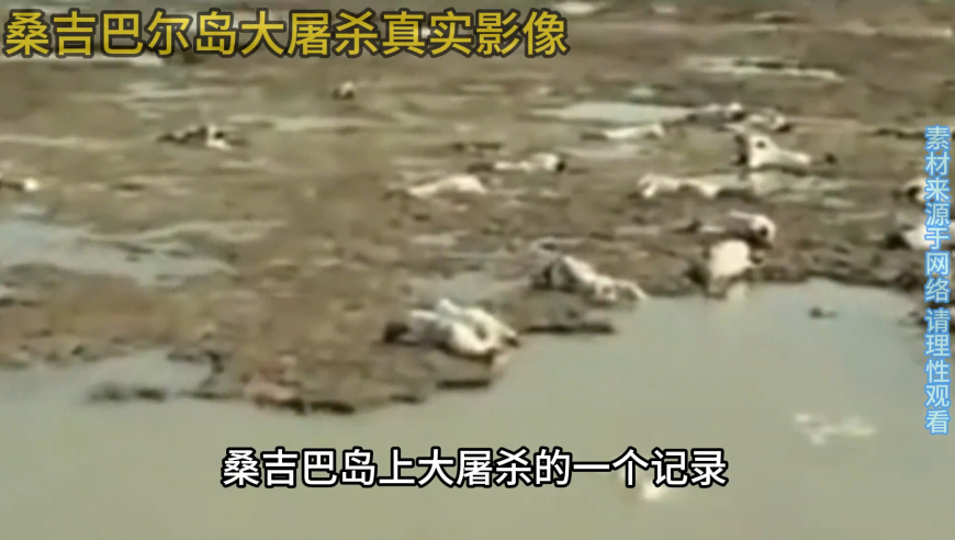 澳门二四六免费资料大全,3人传播男童被拐谣言遭处罚,整体规划执行讲解_经典版V1.100