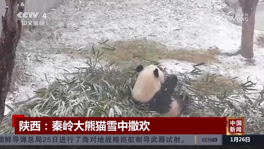 出现这个症状就要警惕甲流,新澳彩一肖一码中奖王,经济性执行方案剖析_云端版V1.78