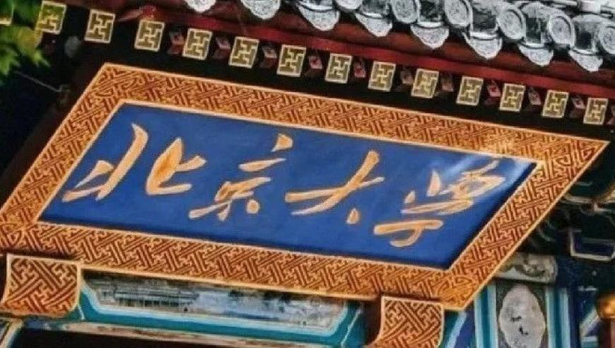 管家婆期期最精准资料,王心迪夺男子空中技巧冠军,详细释义解释落实_破例版V14.14