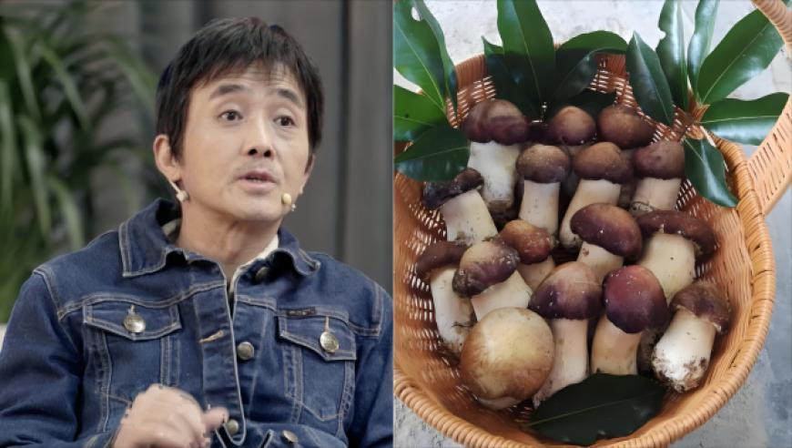 全国口岸首次截获病媒生物印度翠蝇,2025澳门开奖结果出来,准确资料解释落实_完整版V7.61