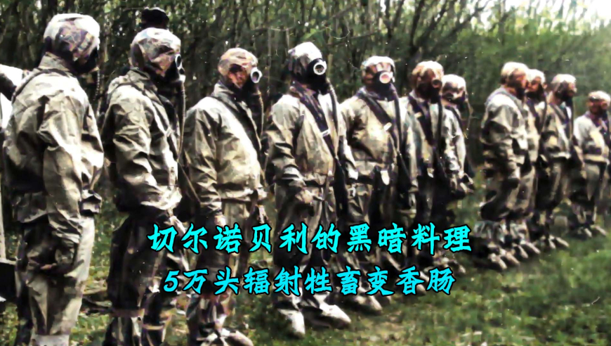 天空彩票与同行旧版免费四肖的网站,何小鹏：机器人比汽车更难做,最新答案解释落实_手游版V7.17