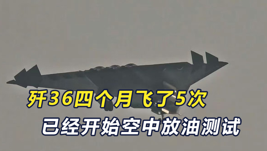 626969澳门资料2025期,专家：乌掐断管道后又高价购买俄气,最佳精选解释落实_钻石版V2.86