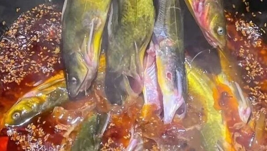 AIGC秒懂两会,4949澳门免费资料大全阳消有,广泛的解释落实方法分析_工具版V4.58